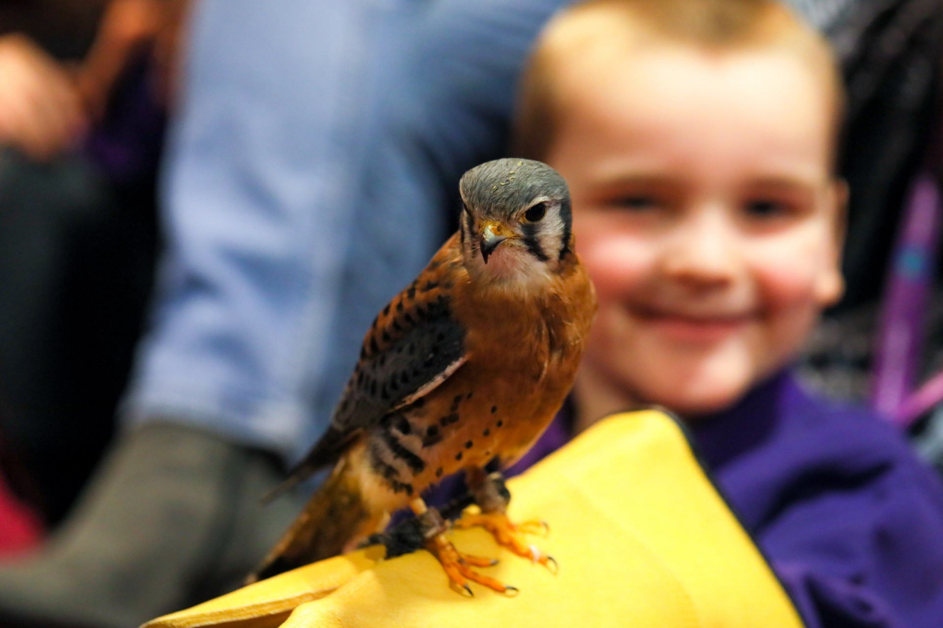 Students join Brook Court residents for a ‘twitching’ good time